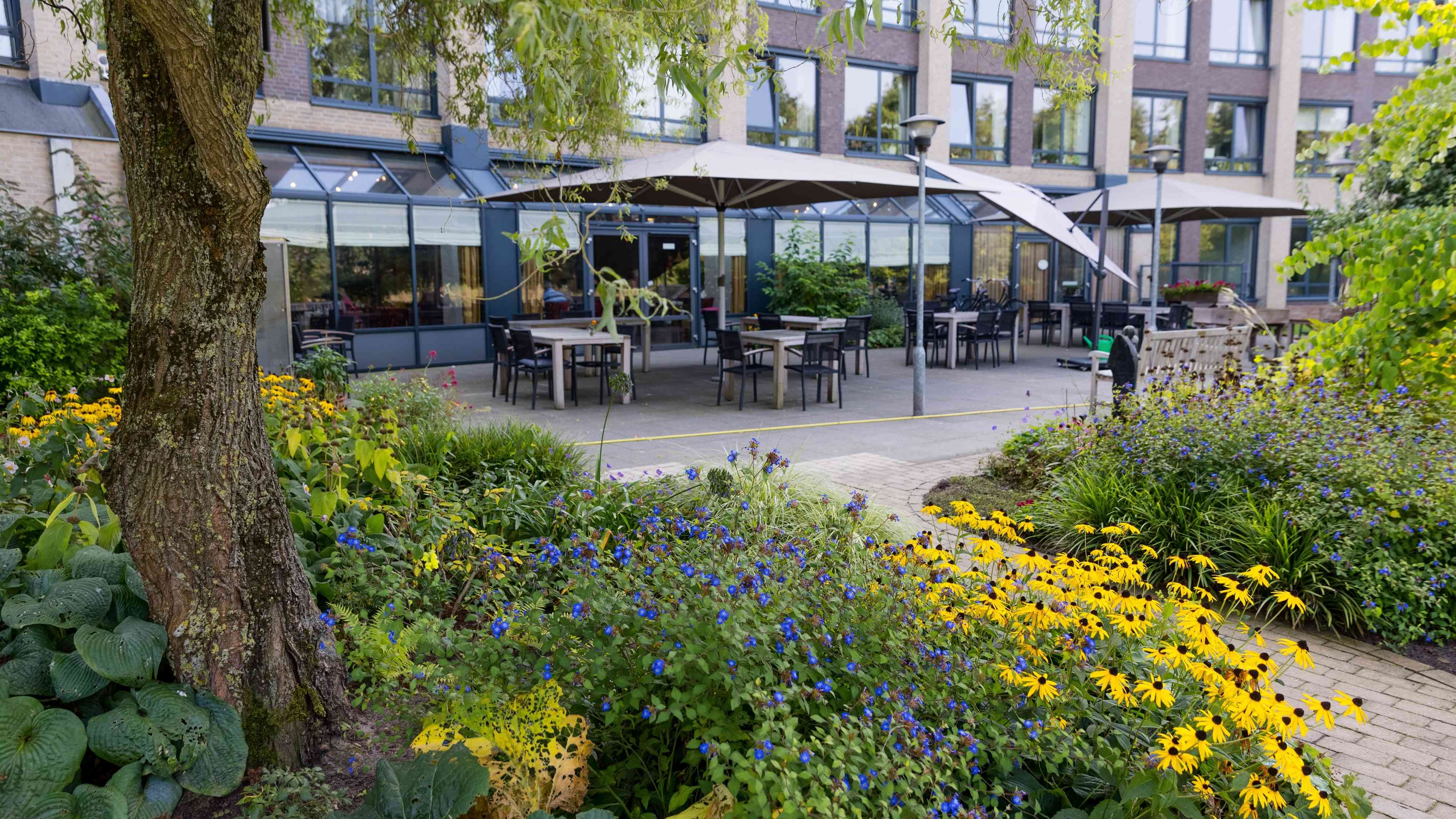 De binnentuin met terras