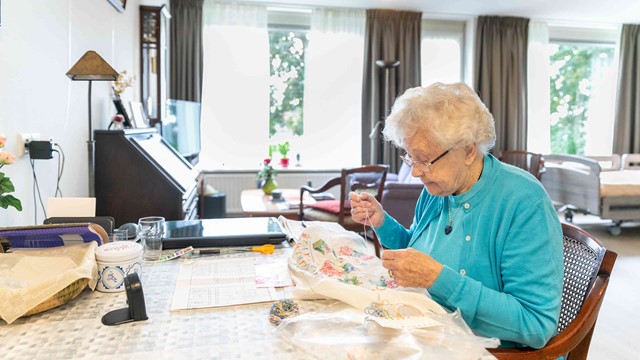 Mevrouw die handwerkt in haar woning in Maasland
