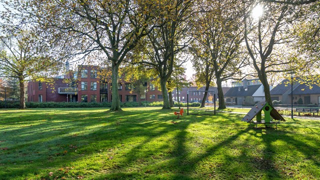 De speeltuin nabij Laarstede