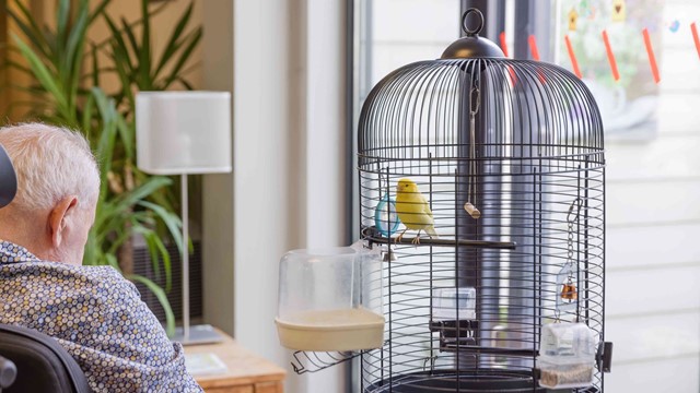 Het vogeltje in de gezamenlijke woonkamer