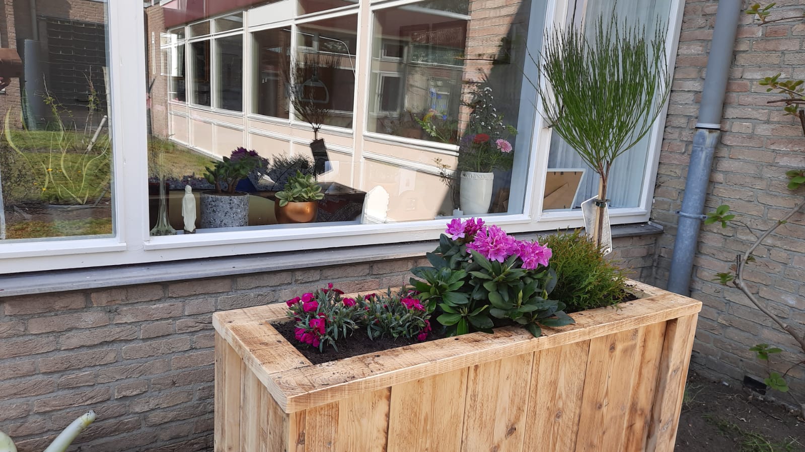 Plantenbak van steigerhout