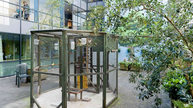 De binnentuin