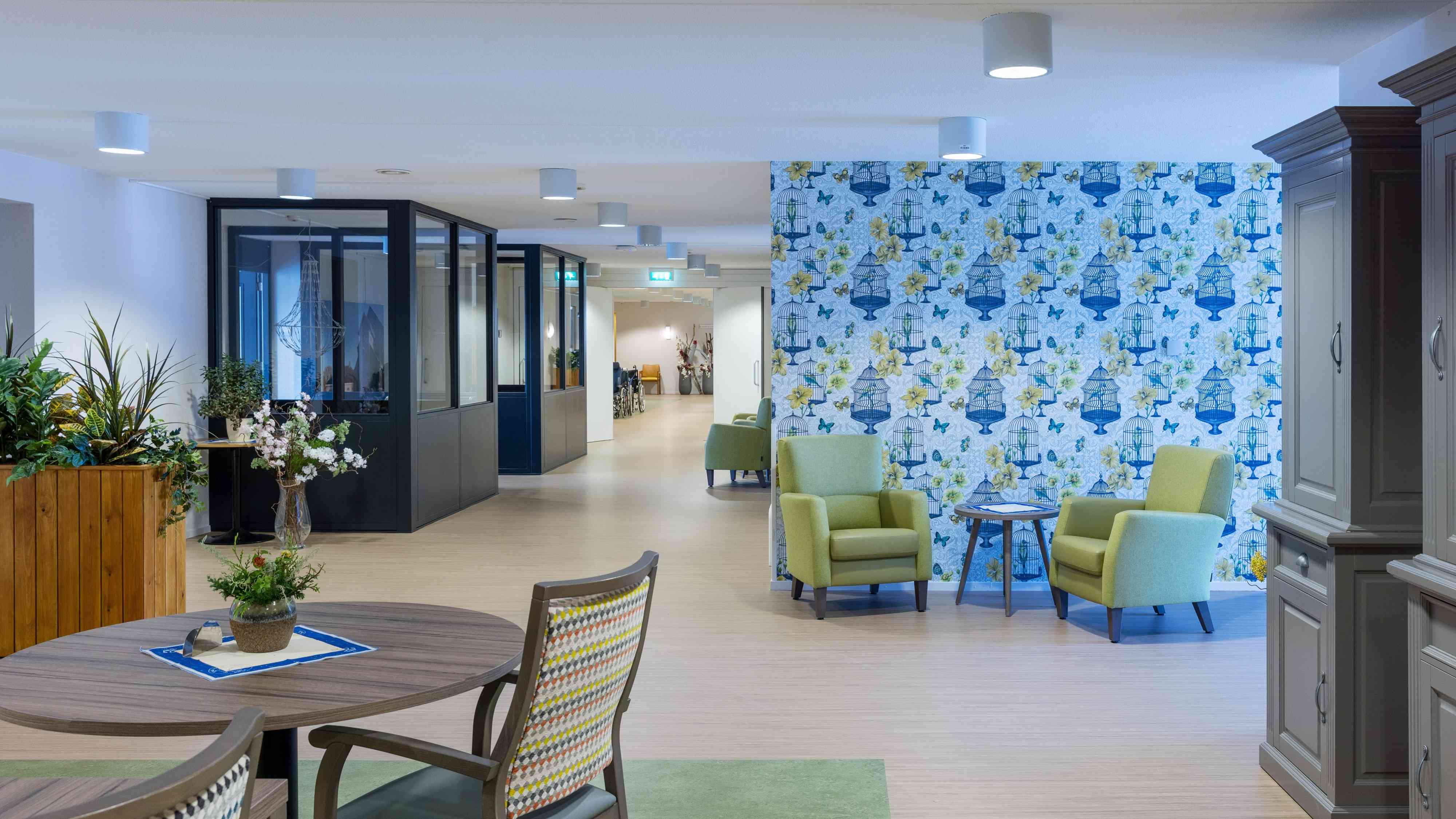 Verschillende zitjes