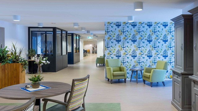 Verschillende zitjes