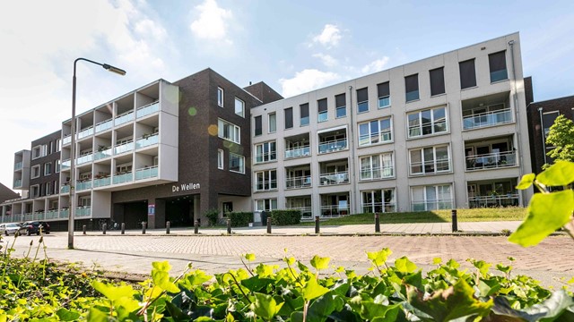 Vooraanzicht De Wellen