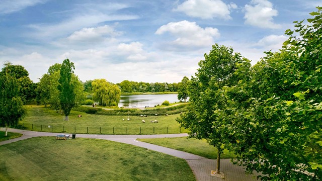 De groene omgeving van Noorderkroon
