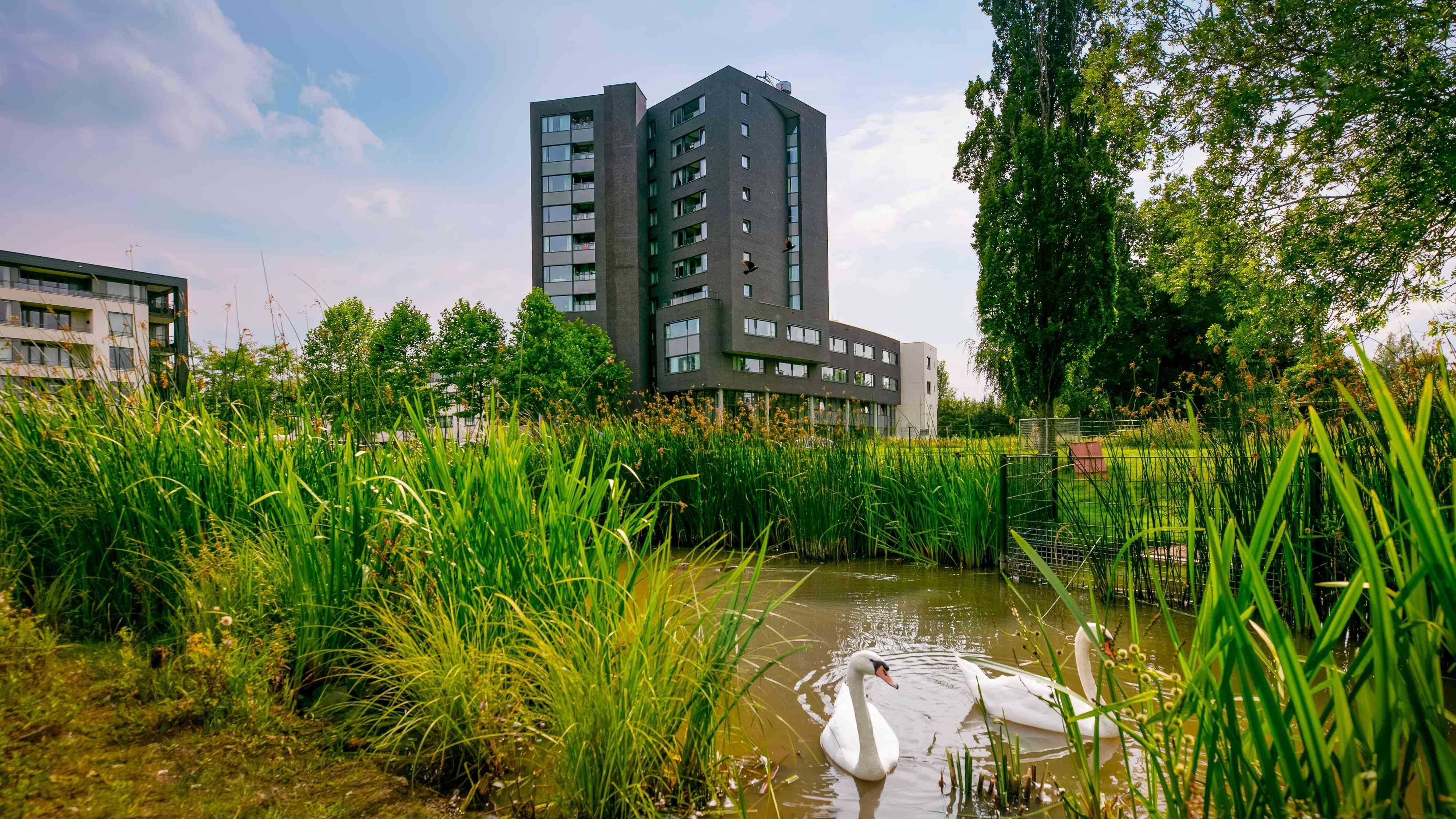 Noorderkroon 's-Hertogenbosch