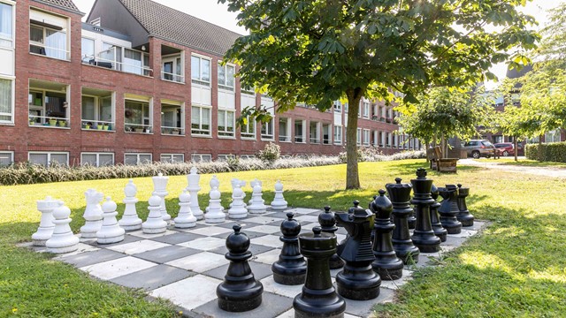 De tuin met schaakbord